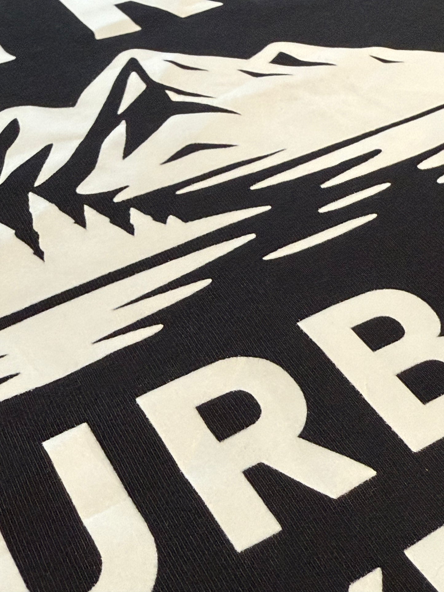 Urban Lake Vibes Cropped Tee